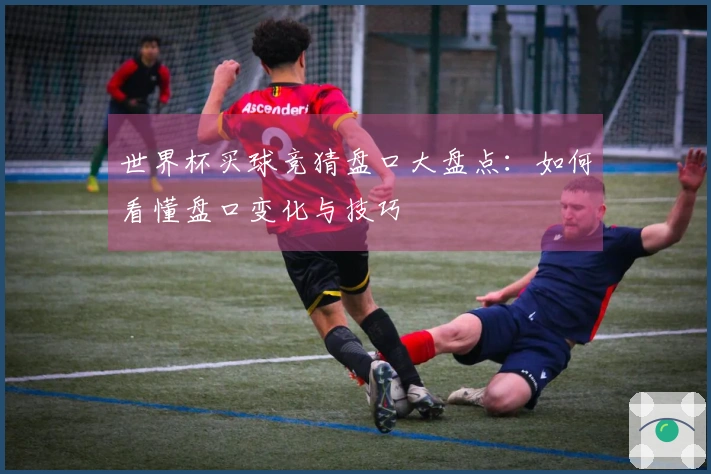 世界杯买球竞猜盘口大盘点：如何看懂盘口变化与技巧