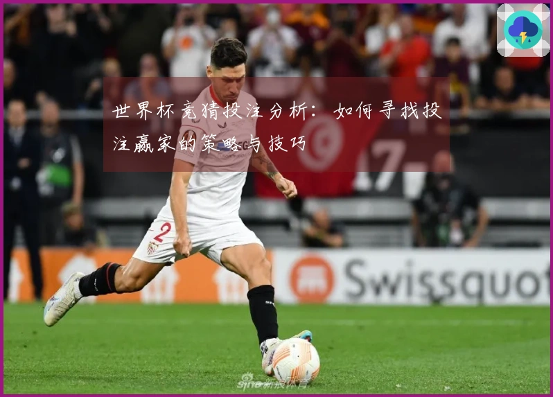 世界杯竞猜投注分析：如何寻找投注赢家的策略与技巧
