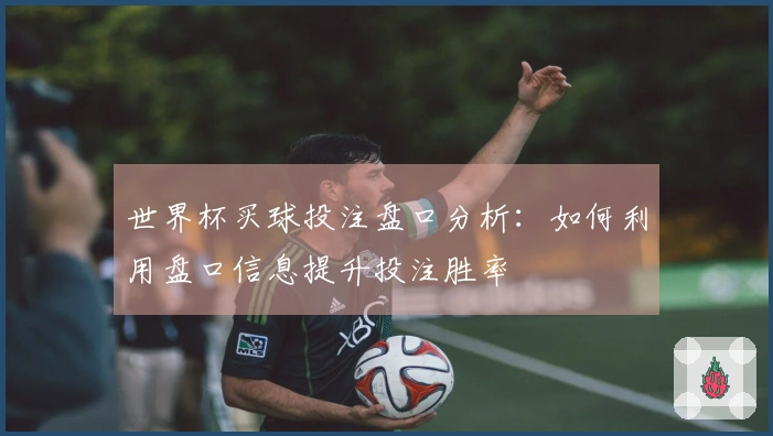 世界杯买球投注盘口分析：如何利用盘口信息提升投注胜率
