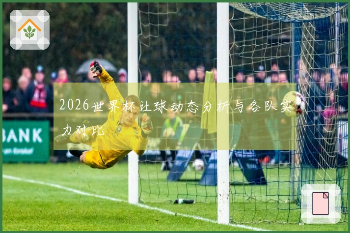 2026世界杯让球动态分析与各队实力对比