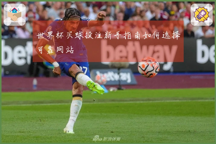世界杯买球投注新手指南如何选择可靠网站