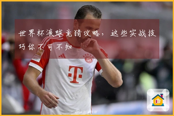世界杯滚球竞猜攻略，这些实战技巧你不可不知