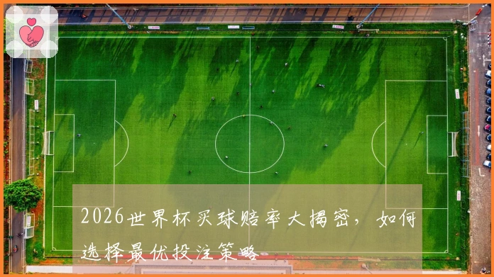 2026世界杯买球赔率大揭密，如何选择最优投注策略