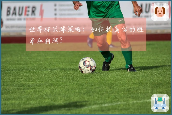世界杯买球策略：如何提高你的胜率和利润？