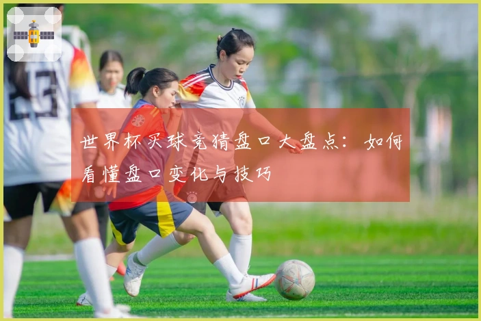 世界杯买球竞猜盘口大盘点：如何看懂盘口变化与技巧