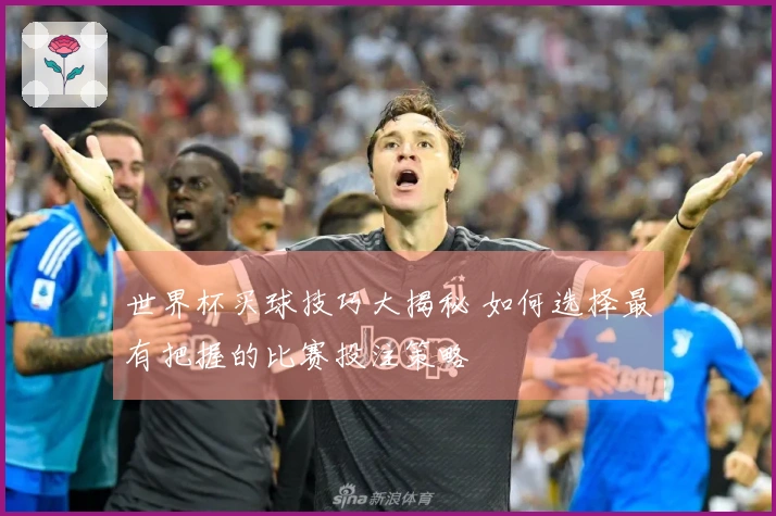 世界杯买球技巧大揭秘 如何选择最有把握的比赛投注策略