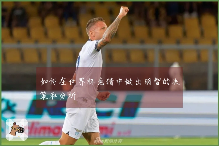 如何在世界杯竞猜中做出明智的决策和分析