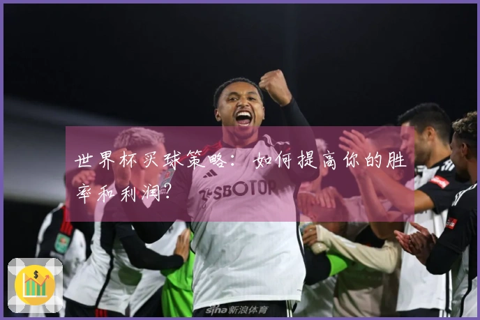世界杯买球策略：如何提高你的胜率和利润？