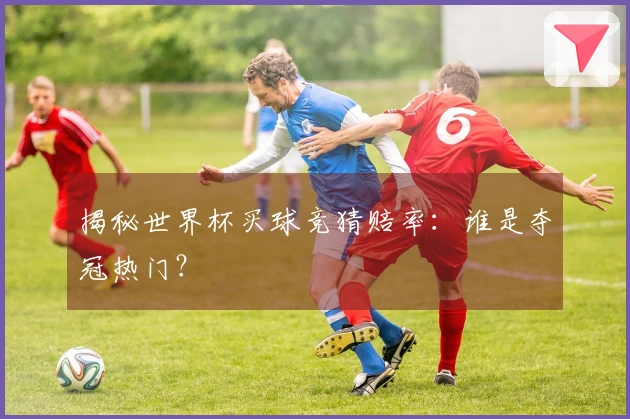 揭秘世界杯买球竞猜赔率：谁是夺冠热门？