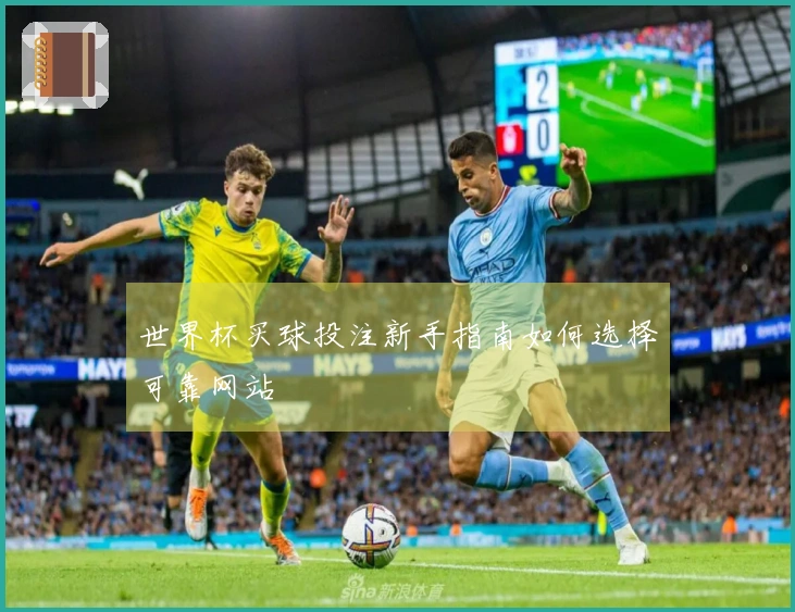 世界杯买球投注新手指南如何选择可靠网站