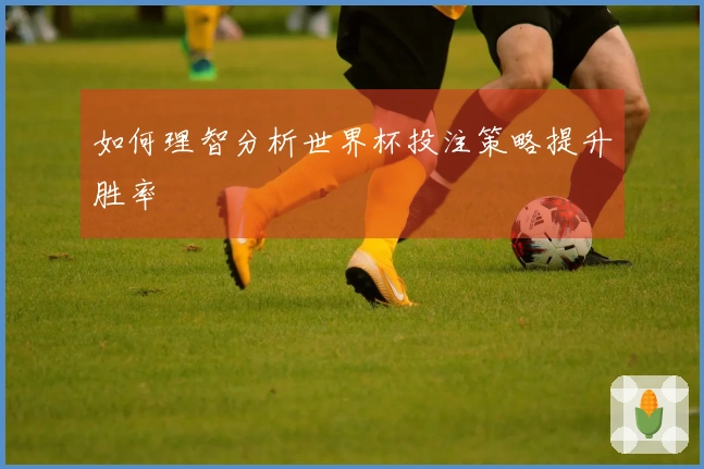 如何理智分析世界杯投注策略提升胜率