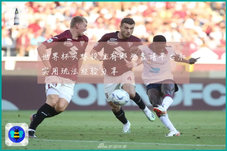 世界杯买球投注有哪些靠谱平台和实用玩法经验分享
